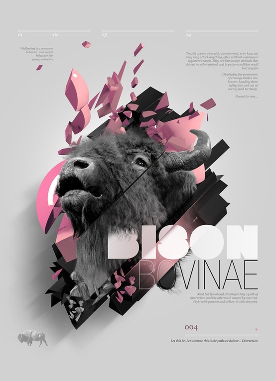 Weekly Inspiration Dose #011 8 wid 011 8