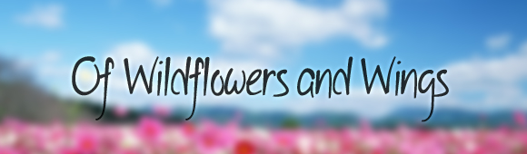 handwrittenfonts wildflowers